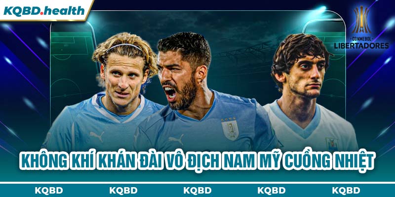 Vô Địch Nam Mỹ 15 Không khí khán đài Vô địch Nam Mỹ cuồng nhiệt