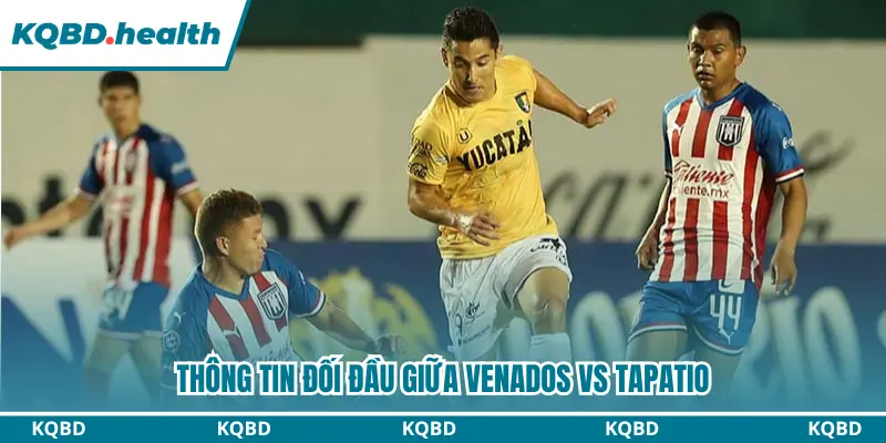 Dự Đoán Venados Vs Tapatio Lúc 06:00 Ngày 09/08 - Liga de Expansión MX 2 Thông tin đối đầu giữa Venados vs Tapatio
